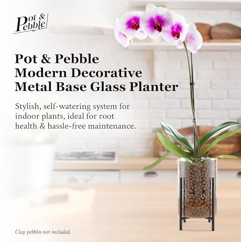 Pot & Pebble C8 Glass Orchid Pot, Metal Base - LECA Semi-Hydro Planter - Image 3