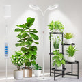 Aumtrly Large Plant Grow Light Indoor, 2 Head Full Spectrum, with 68" Stand by Aumtrly