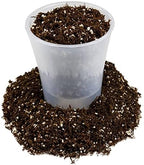Gardenera Fern + Perlite Soil Mix for Repotting and Planting Succulents and Cactuses - 4 Quart Bag - Image 4