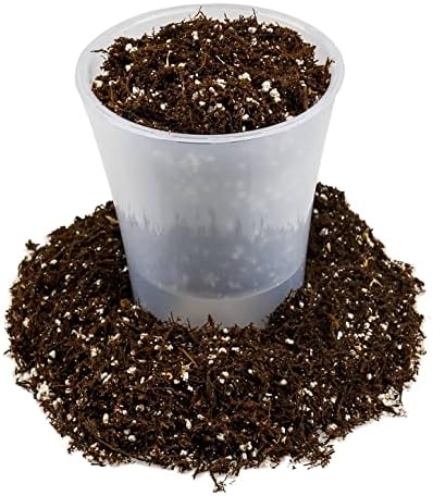 Gardenera Fern + Perlite Soil Mix for Repotting and Planting Succulents and Cactuses - 4 Quart Bag - Image 4
