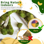 Preserved Reindeer Moss, 17.64oz -Fruit Green - Image 2