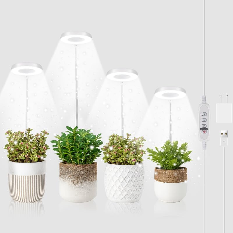 GYTF Halo Plant Grow Light, 6000K White LED Full Spectrum Growing Lamp for Indoor Plants, Succulents, Mini Bonsai, Small Plants, Height Adjustable, Dimmable & Timer 4/8/12/18Hrs,4 Pack by GYTF