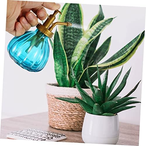 BESPORTBLE 2Pcs Vintage Glass Bottle Transparent Watering Can for for Gardening Misting Leaves and Cleaning Includes Nozzles - Image 5