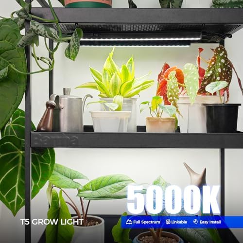 Barrina T5 Grow Lights, 5000K Full Spectrum Daylight White, 1FT, 8 Packs - Image 2