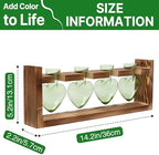 Plant Propagation Stations Heart Plant Terrarium Kit - Image 4