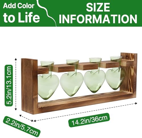 Plant Propagation Stations Heart Plant Terrarium Kit - Image 4