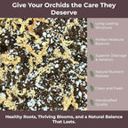 GARDENWISE Orchid Potting Mix – Orchid Bark, Sphagnum Moss, Tree Fern & Perlite for Repotting Phalaenopsis Orchids, Indoor Plants, Orchid Soil Medium – Sustrato para Orquídeas (5 Quart) - Image 3