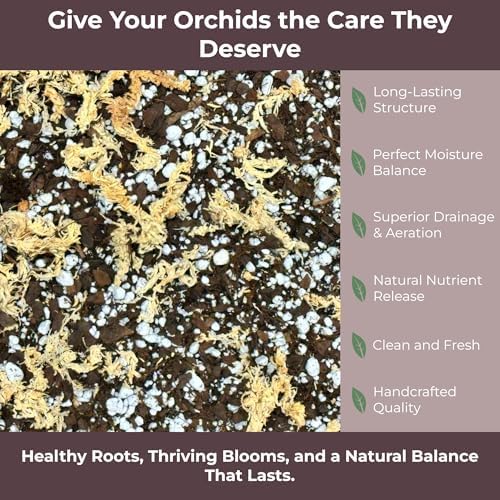GARDENWISE Orchid Potting Mix – Orchid Bark, Sphagnum Moss, Tree Fern & Perlite for Repotting Phalaenopsis Orchids, Indoor Plants, Orchid Soil Medium – Sustrato para Orquídeas (4 Quart) - Image 3