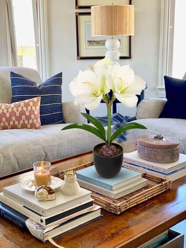 Briful White Amaryllis Fake Flowers 17.3'' Tall Silk Amaryllis Plant in Black Pot Artificial Floral Arrangement with Decorative Bulb for Home Office Bathroom Kitchen Table Holiday Décor - Image 6