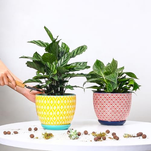 Selamica Ceramica Plant Pots, 6.5 Inch Flower Pots Set of 2 with Drainage Holes & Saucer, Planters for Indoor Plants, Home Decor, Assorted Colors - Image 2