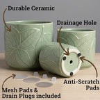 Ceramic Pots for Plants Set of 3, 6, 5, 4 Inch Diameter with Drainage Holes - Image 2