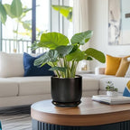 Ceramic Planter 7 Inch - Cylinder Round Modern Indoor Plant Pot for Plants with Drainage Hole and Saucer, Room Home Patio Office Patio Decor, Black - Image 2