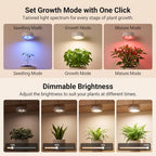 2 Pack Rechargeable Grow Light, Cordless Full Spectrum LED for Indoor Plants, Magnetic Mount, Timer & Remote, USB-C 2000mAh for Shelf, Herbs, Succulents, Seedlings & Greenhouse (White) - Image 3
