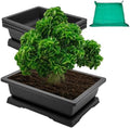 GROWNEER Large Bonsai Pots 3 Pack 14 Inch with Drainage Trays Training Pot by GROWNEER