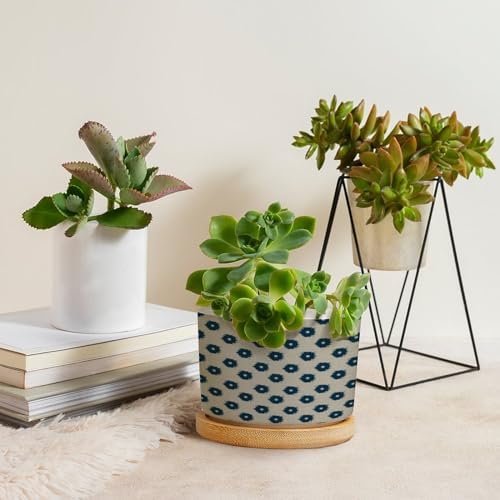 Timur in Blue Background Planters Ceramic Geometric Modern Round Plant Pot with Drainage Holes and Bamboo Tray Pot for Home Desktop Office Windowsill - Image 4