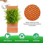 dadop Terracotta Self Watering Wall Pots for Indoor Plants, Hanging Planters for Indoor Plants Holder, Terra Cotta Pot Home Decor - Image 2