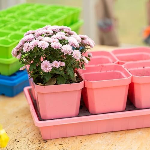 Bootstrap Farmer 1020 Trays, 10 Pack, Pink - Heavy-Duty 2.5" Deep Flats Without Holes for Microgreens, Fodder, Hydroponics - Image 3