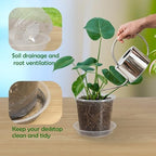 30 Pack 3/4/5/6/7 Inch Clear Nursery Pots with Drainage and 30 Pack Plant Saucers, Plant Pots for Plants Transparent Potting Containers for Plants Seeding Starter Pot (Clear, 3/4/5/6/7 Inch) - Image 4