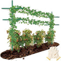 2 Set 7 ft Fiberglass Garden Stakes Kit for Climbing Plants by Innconee