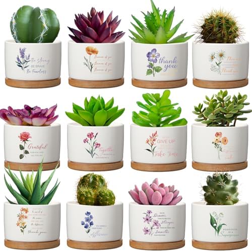 Funnymoom 12 Pcs Inspirational Succulent Pots Bulk Back to School Teacher Gift Floral Ceramic Planter with Bamboo Tray Thank You Gifts for Coworker Employee Office Staff, Plant Excluded (Stylish) by Funnymoom