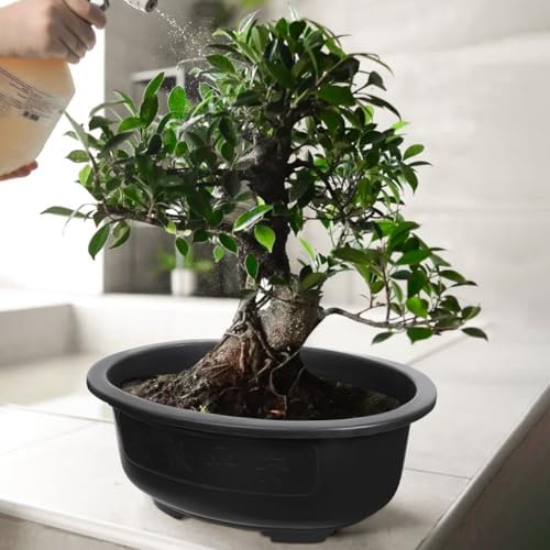 DOITOOL 2 Pcs Large Bonsai Pots 15 Inch Plastic Oval Training Planter with Drainage Holes Deep Tree Bowl for Succulent Nursery - Image 2