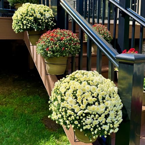 Bloem RailScapes Railing Plant Clip for 1.25” - 1.5” Thick Spindles, 3-Pack - Image 5