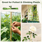 Natural Bamboo Poles, Approx. 57 in / 5 ft, 5/8" Diameter Bamboo Sticks for Plants, Wood Garden Stakes for Tomatoes, Beans, Flowers, Potted Trees and Climbing Plants, 40 Pack - Image 6