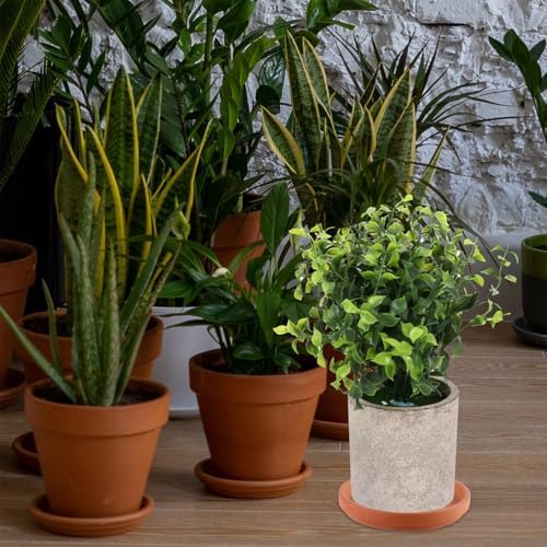 SEWACC 5 Pcs Pottery Plant Saucers, 5. 1 Inch Clay Pot Trays for Indoor and Outdoor Plants, Chocolate Terracotta Flower Pot Holder, Waterproof Planter Plates for Home and Office - Image 3