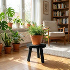 Delma Wood Plant Stands 3-Pack Indoor, Plant Stool, Black - Image 2