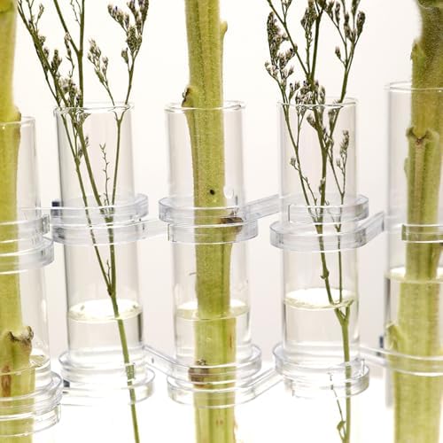 8pcs 18x3cm Glass Hydroponic Tube Vases for Flower Arranging and Plant Propagation Home Décor Cleaning Brush and S-Shaped Hooks - Image 3