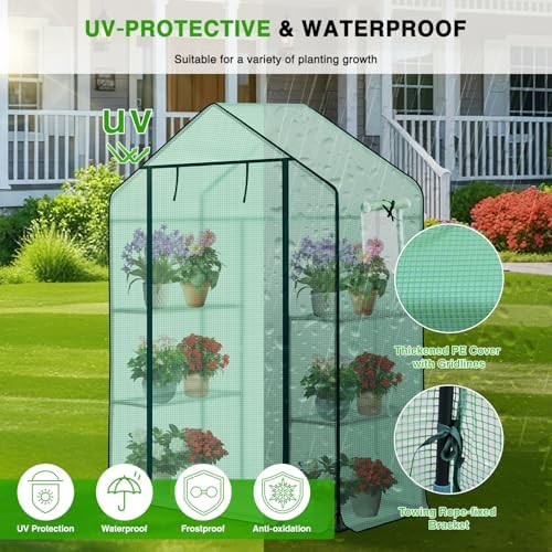 Yesker Greenhouse 57"x29"x77" Walk in Green House - Large Outdoor/Indoor Greenhouses with 4 Shelves Waterproof PE Cover & Windows, Portable Greenhouse Kit for Winter Backyard Gardening Patio, Green - Image 4