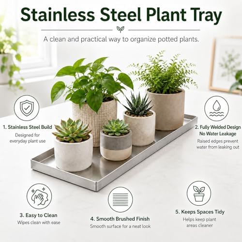 Stainless Steel Plant Tray with a 0.8-Inch Raised Edge - Image 2