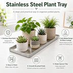 Stainless Steel Plant Tray with a 0.8-Inch Raised Edge - Image 2
