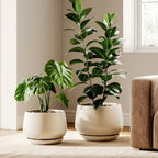 LE TAUCI Ceramic Plant Pots, 10 + 12 Inch, Set of 2, Reactive Glaze Beige by LETAUCI