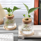 Baderke 12 Pack Propagation Vases for Plants, Vertical Grain Style - Image 3