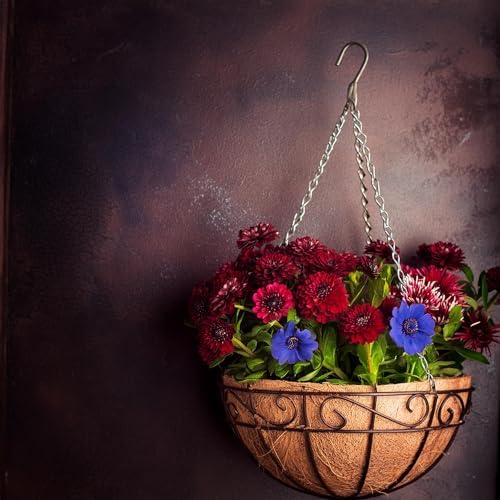 Ashman 14 Inch Metal Hanging Planter Basket with Coco Coir Liner Round Wire Plant Holder Chain Porch Decor Flower Pots Hanger Garden Decoration Indoor Outdoor Watering Hanging Baskets (4) - Image 4