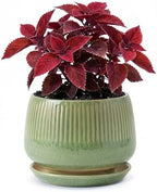 7.5 Inch Ceramic Planter with Saucer,Modern Garden Pots with Drainage Hole Mesh Net, for Indoor Outdoor Use (Crackle Green) by Unknown