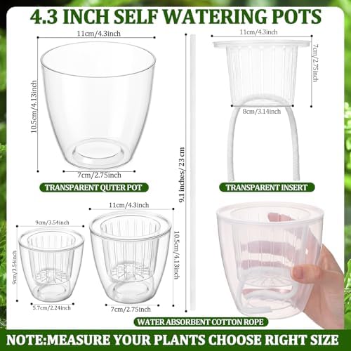 Self Watering Plant Pots, 4.3'', Transparent, 36 Pcs - Image 2