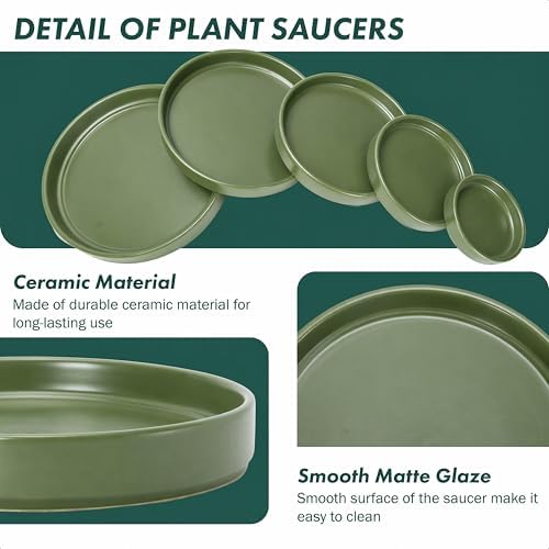 D'vine Dev Ceramic Plant Saucer/Drainage Tray, 10.4 in, Olive, 97-T-C-5 - Image 5
