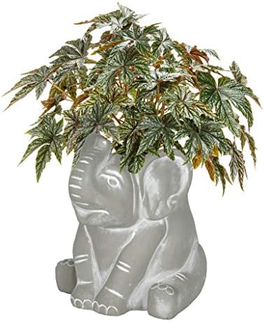 GROWSCAPE Cement Buddies Animal Planter - Cute Desk Decoration - UV Coated Animal Vase w/Removable Drain Plug - Succulent Planter for Indoor/Outdoor Use (Elephant, Natural, Small) - Image 2