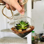 WGV Glass Hanging Plant Terrarium Bulk, Width 5", Height 5.5", Turnip DIY Succulent Air Planter Clear Tea Light Votive Candle Holder for Event Home Garden Outdoor Decor, 6 Pieces - Image 7