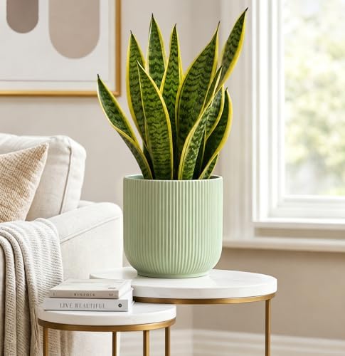 Set of 3 Ceramic Flower Pots, 6+7+9 Inch Plant Pot with Drainage Holes, Garden Flower Pot Succulent Herbs Succulent Orchid Pot Indoor Outdoor Home Garden Decor, Green - Image 4