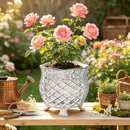 Sungmor Vintage Cast Iron Urn Planter with Non-Woven Bag, Vintage White - Image 6