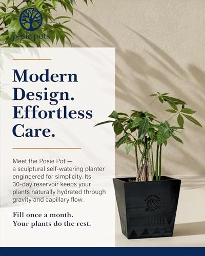Posie Pot Medium Twisted Square - Self Watering Planter 5x5 Inch - Indoor Plant Pot with 30 Day Reservoir - 3D Printed Bioplastic - No Guilt Plant Care - Made in USA, Black - Image 2