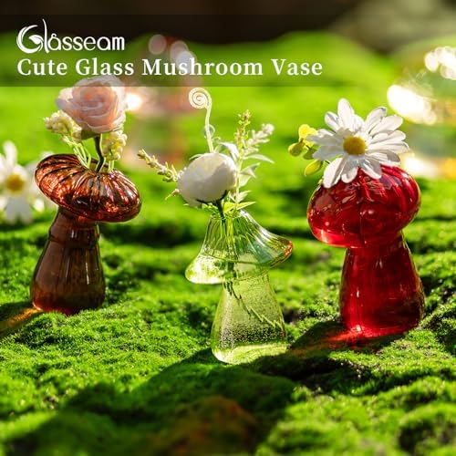 Glasseam Mushroom Plant Propagation Station, Set of 5 Glass Terrarium Jars - Image 2