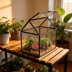 Ferrisland Glass Geometric Plant Terrarium, Clear Glass Succulent - Image 6