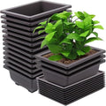 15 PCS 8.8 Inch Bonsai Training Pots, Bonsai Tree Growing Pots with 15 Drainage Trays, Plastic Bonsai Planter for Garden, Yard, Office, Porch, Balcony, Home Decoration by ZEONHEIDIRECT