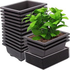 15 PCS 8.8 Inch Bonsai Training Pots, Bonsai Tree Growing Pots with 15 Drainage Trays, Plastic Bonsai Planter for Garden, Yard, Office, Porch, Balcony, Home Decoration by ZEONHEIDIRECT