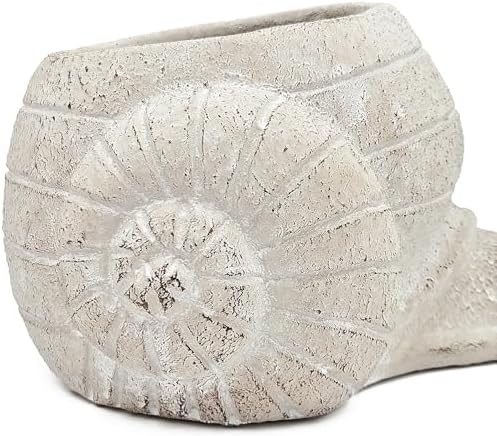 Decorative Snail Planter, 8.3 Inch, Textured Beige - Image 7