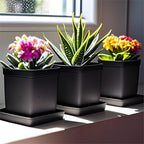 Square Plant Saucer 14 Inch 5 Pack, Planter Trays for Flower Pots, Plant Water Catcher Drip Dishes, Plastic Bottom Watering Plates Indoors and Outdoors - Black - Image 6